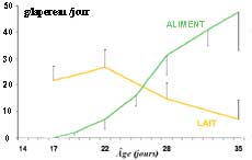 Ingestion de lait et d'aliment solide par les lapereaux entre 17 et  35 jours