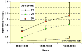 Quantité d'aliment solide ingérée par heure par un lapereau  aucours de la journée