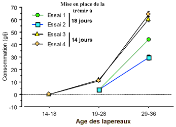 consommation aliment lapereaux sous la mère