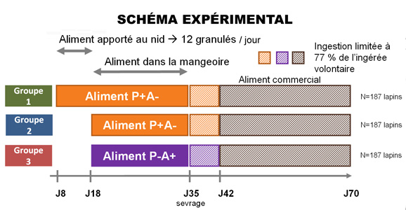 Schéme expériumental