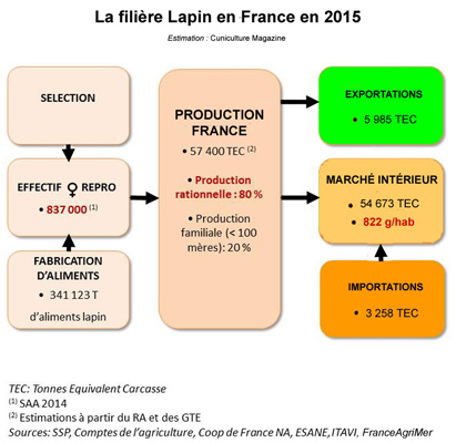 Filière lapin France