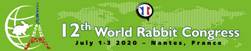 Bannière 12th WRC