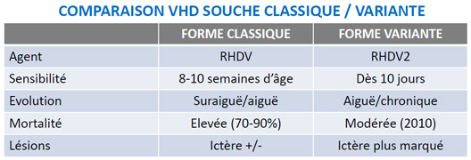 RHDV classique / RHDV2