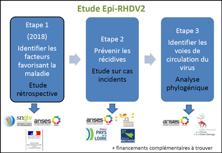 Epi-RHVD2