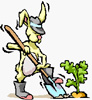 lapin rabbit récolter 200 x217pixels