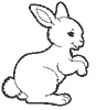 Dessin lapin rabbit coloriage600 x 680 pixels