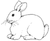 Dessin lapin rabbit coloriage 282 x 230 pixels