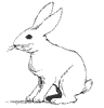 Dessin lapin rabbit coloriage 327 x 339 pixels