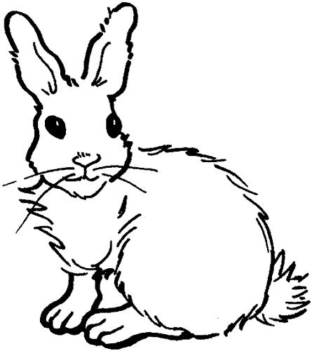 http://www.cuniculture.info/Docs/Phototheque/Dessins/Coloriage/lapin-coloriage-vide-129.gif