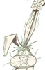 lapin  expressions 98 x 150 pixels