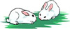 lapin  expressions159 x 66 pixels