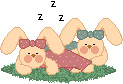 lapin  expressions 200 x 137 pixels