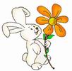 lapin Fleur - Rabbit Flower