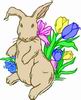 lapin Fleur - Rabbit Flower