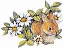 lapin Fleur - Rabbit Flower