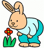 lapin Fleur - Rabbit Flower