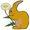 lapin Fleur - Rabbit Flower