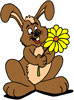 lapin Fleur - Rabbit Flower