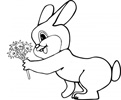 lapin Fleur - Rabbit Flower