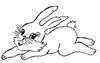 Lapin rabbit Reproduction & Love 165 x 107 pixels