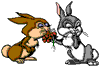 Lapin rabbit Reproduction & Love 193 x 130 pixels