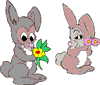 Lapin rabbit Reproduction & Love 420 x 359 pixels
