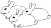 lapin rabbit 239 x 129 pixels