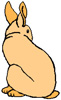 lapin rabbit 154 x 252 pixels