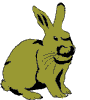 lapin rabbit 195 x 216 pixels