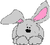 lapin rabbit 180 x 162 pixels