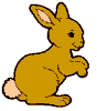 lapin rabbit 176 x 200 pixels