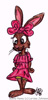 lapin rabbit 203 x 425 pixels