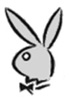 lapin rabbit 104 x 150 pixels