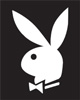 lapin rabbit 204 x255 pixels