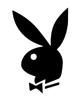 lapin rabbit 204 x 255 pixels