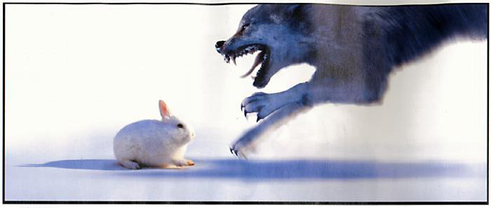 http://www.cuniculture.info/Docs/Phototheque/Lapinsvaries/humour/lapin-loup-02.jpg