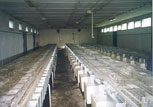 intérieur de bâtiment d'élevage de lapins