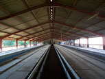 intérieur de bâtiment d'élevage de lapins