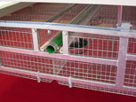 cages à lapin grillagées