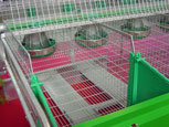 cages à lapin grillagées - boite à nid ouverte