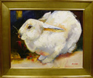 Ombres blanches sur un lapin