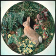 Lapin au milieu des fougères et des fleurs -