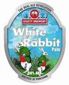 Lapin - Bière - Rabbit - Beer